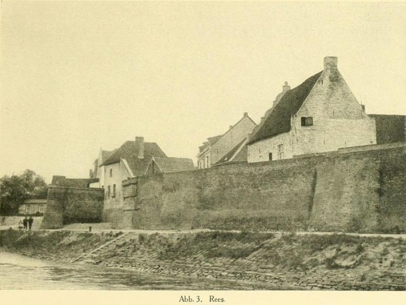 Abb. 3. Rees.
