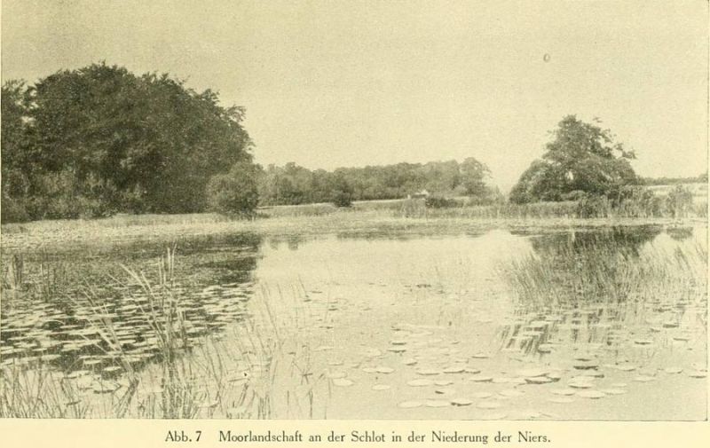 Abb. 7 Moorlandschaft an der Schlot in der Niederung der Niers.