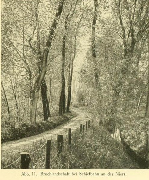 Abb. 11. Bruchlandschaft bei Schiefbahn an der Niers.