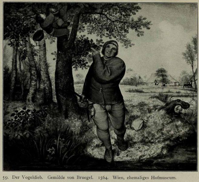 059. Der Vogeldieb. Gemälde von Bruegel. 1564. Wien, ehemaliges Hofmuseum