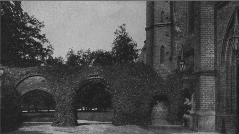 Bad Doberan Seite 3 Bild Klostergarten