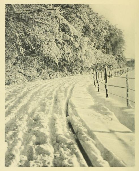 000 Sonniger Wintertag