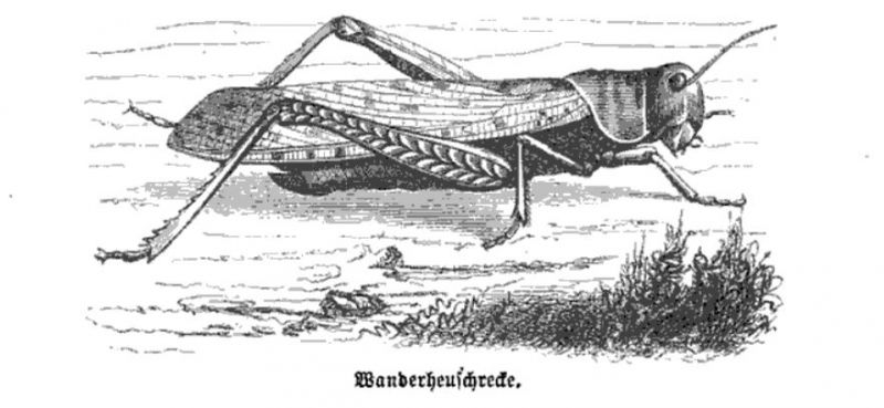 094 Wanderheustrecke