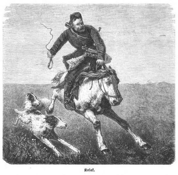 031 Kosak