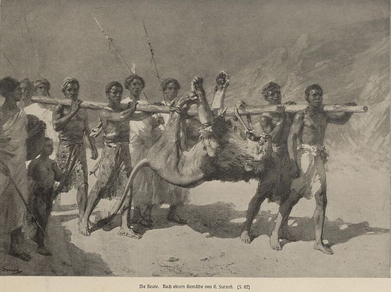 Die Beute (Löwe)