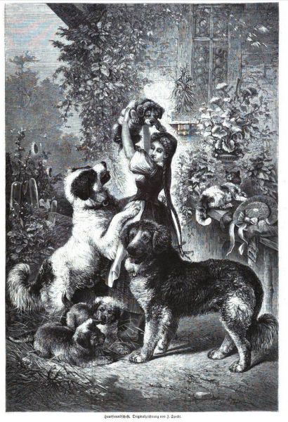 Haustiere, Hunde, Hausfreundschaften