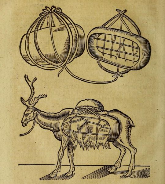 Lappen-Trage-Rentier und Ladung