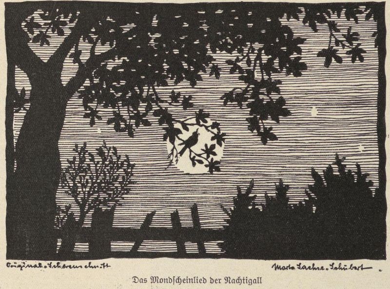 Das Mondscheinlied der Nachtigall