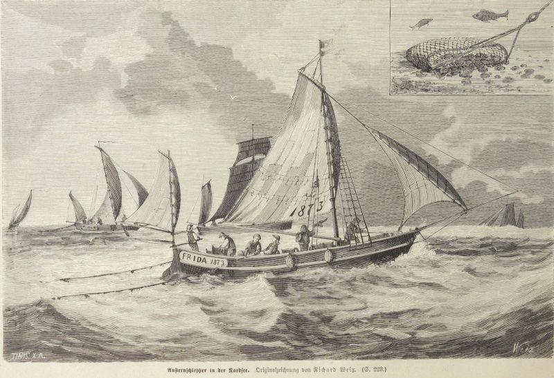 Austernschlepper in der Nordsee_