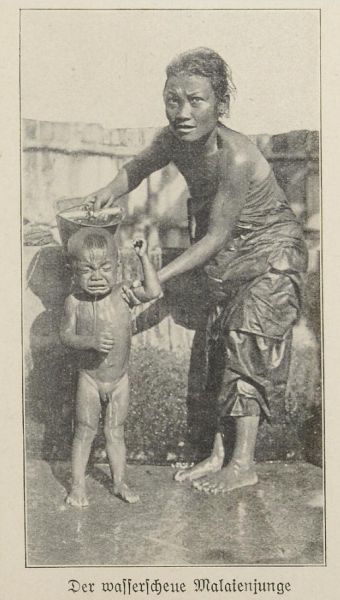 Kinder, Der wasserscheue Malaienjunge