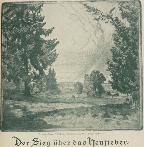 Der Sieg über das Heufieber