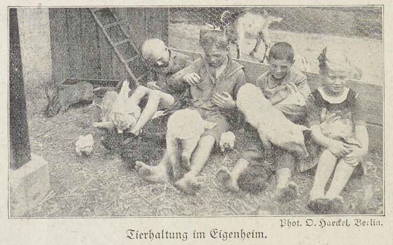 Kleingärten, Tierhaltung im Eigenheim