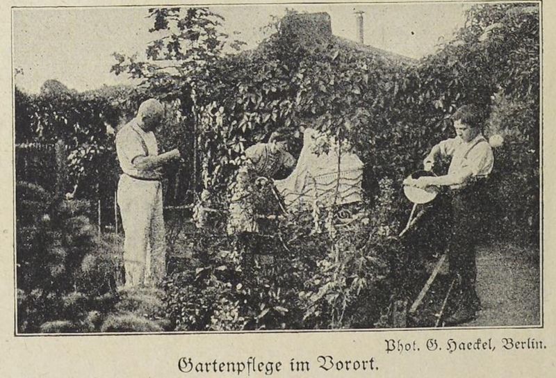 Kleingäten, Gartenpflege im Vorort