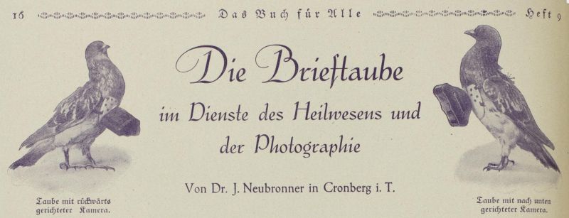 Fotografie, Die Brieftaube, Titel