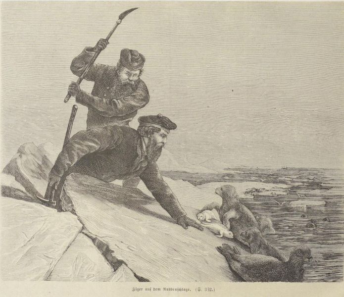 Jäger auf dem Robbenschlage