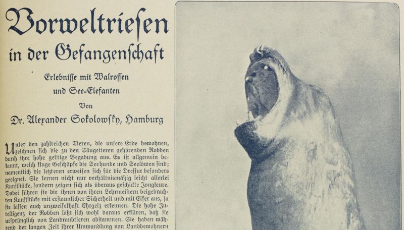 Vorweltriesen in der Gefangenschaft