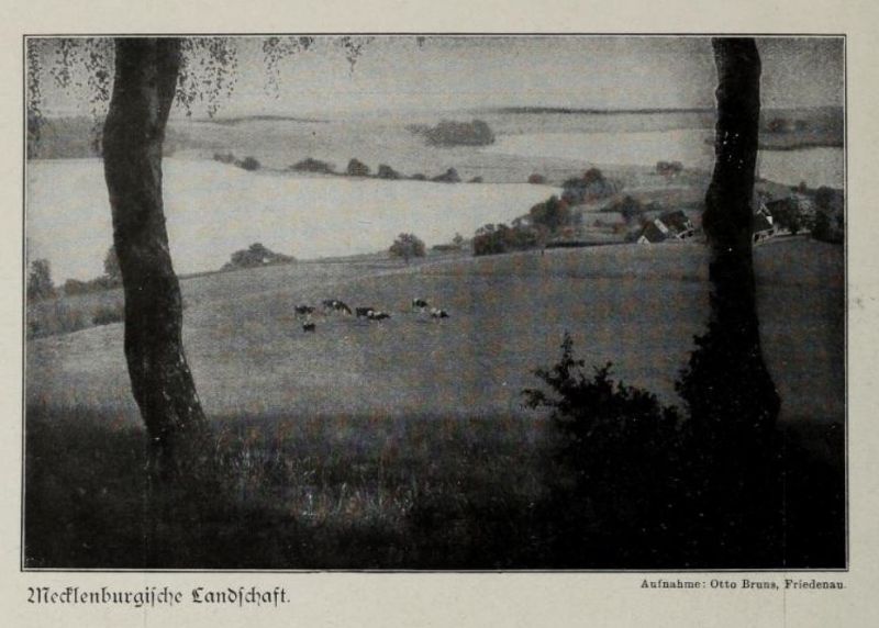 104 Mecklenburgische Landschaft