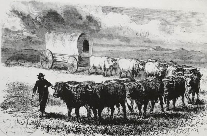 Auswanderer Planwagen