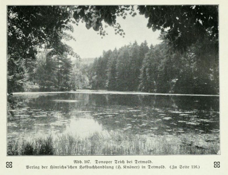 Donoper Teich bei Detmold