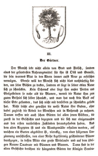 03 Der Gärtner