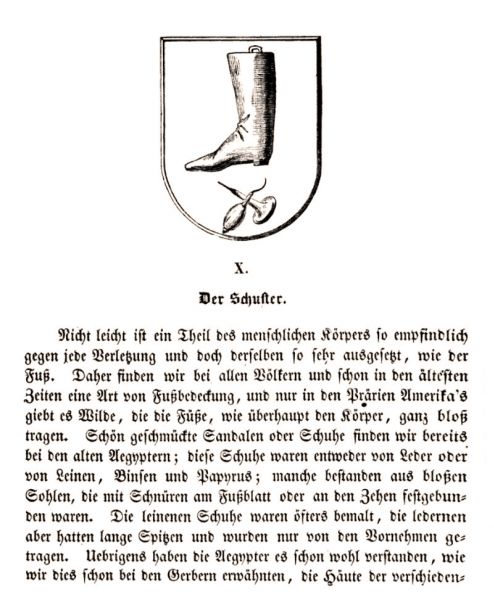10 Schuster