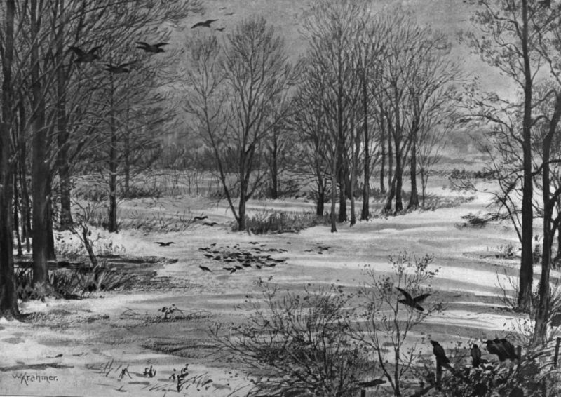 Wintertag (2)
