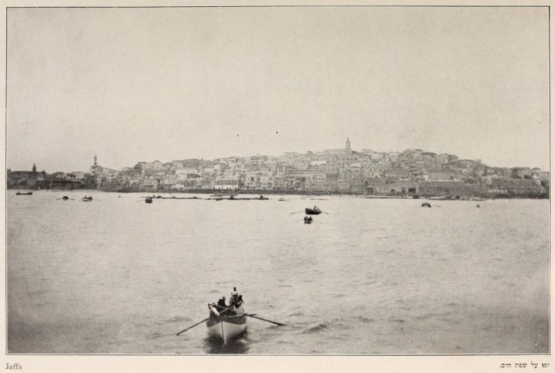 Palästina, Jaffa
