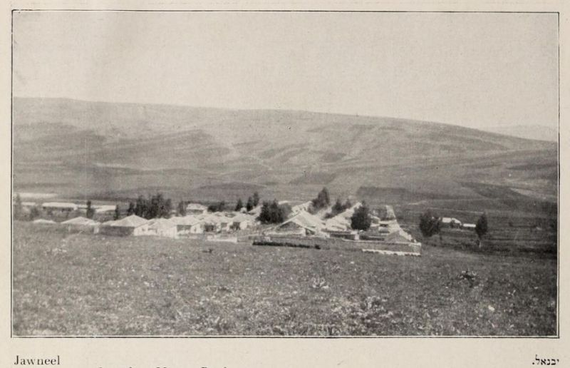 Palästina, Jawneel