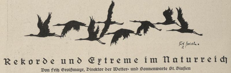 Rekorde und Extreme im Naturreich