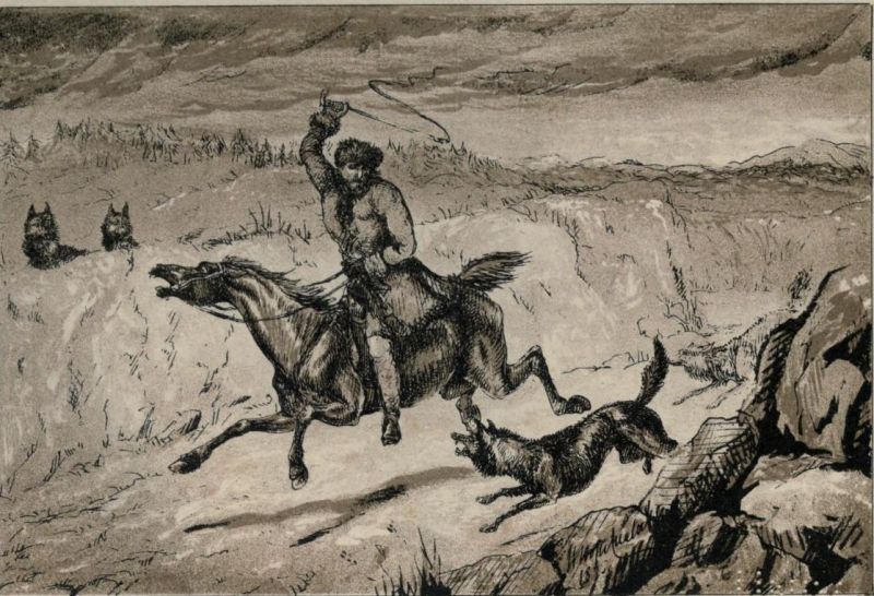 Reiter von Wölfen angegriffen
