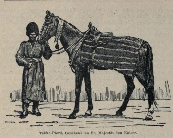 01 Tekke-Pferd, Geschenk an den deutschen Kaiser