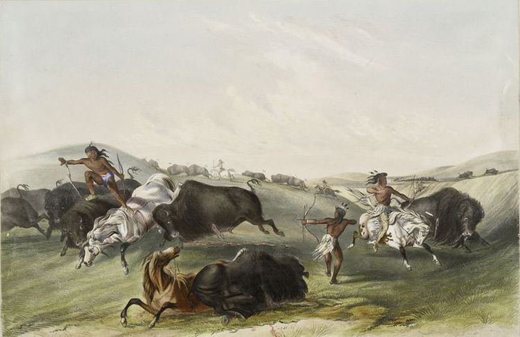 B&uuml;ffeljagd 02
