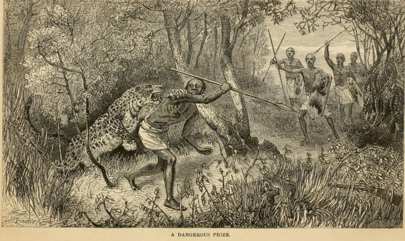 Angriff eines Leoparden