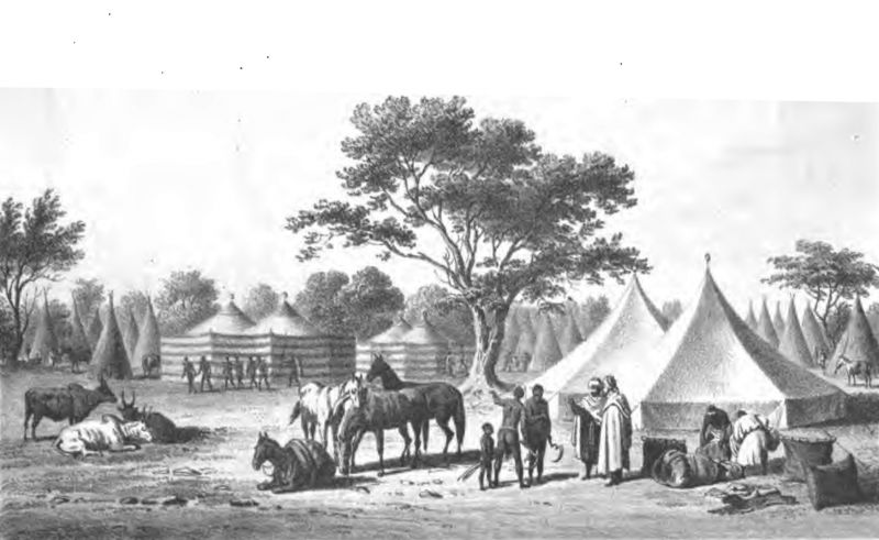 Zeltlager in Musgo