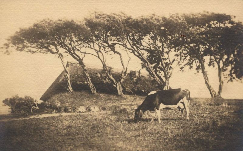Ostseebad Ahrenshoop