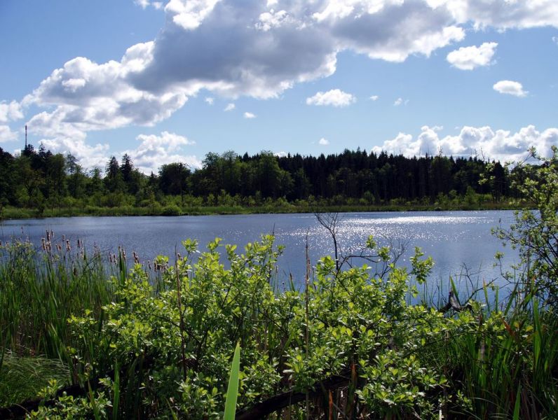 Bernitt, Schwarzer See
