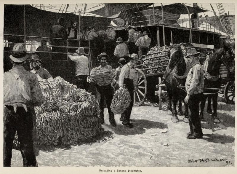 Beladen eines Bananenfrachters