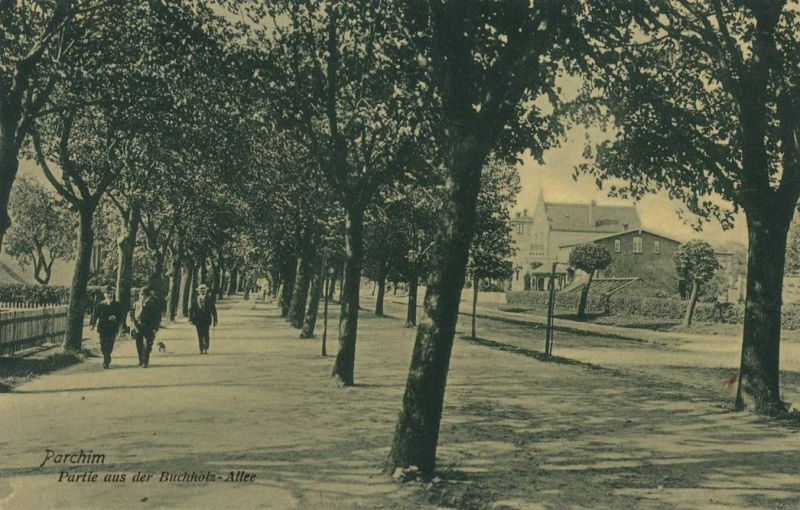 Parchim, Buchholz-Allee