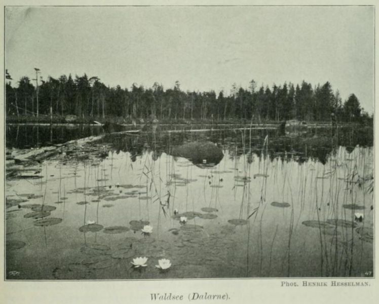 Schweden, Waldsee