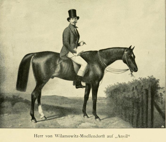 Herr von Wilamowitz-Moellendorff auf „Anvil“. 