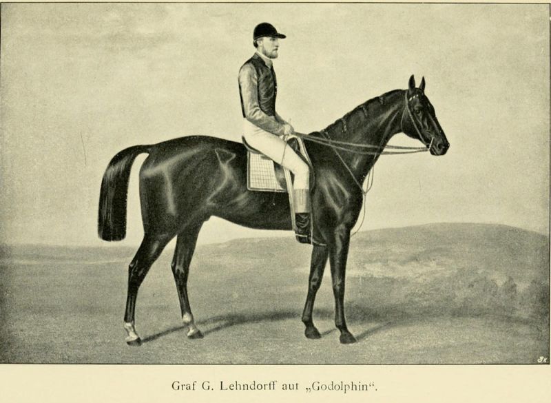 Graf G. Lehndorff auf „Godolphin“. 