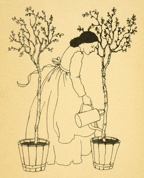 Die zwei Rosenbäumchen aber nahm sie mit, ...