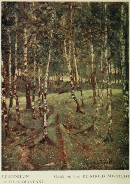 18 Birkenhain in Södermanland. Gemälde von Reinhold Norstedt.