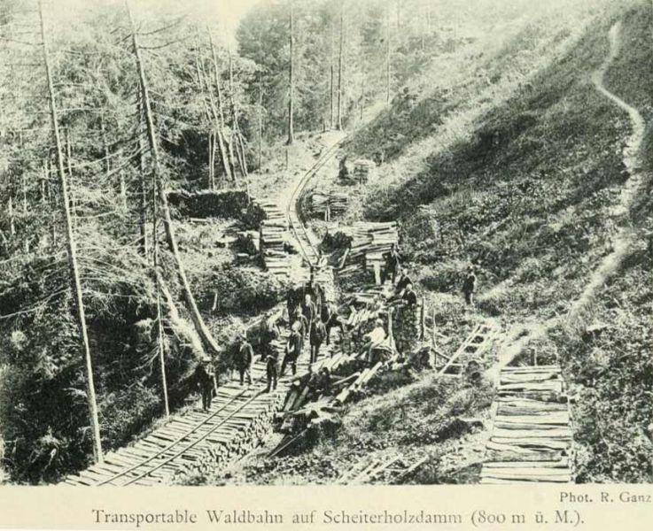Waldbahn