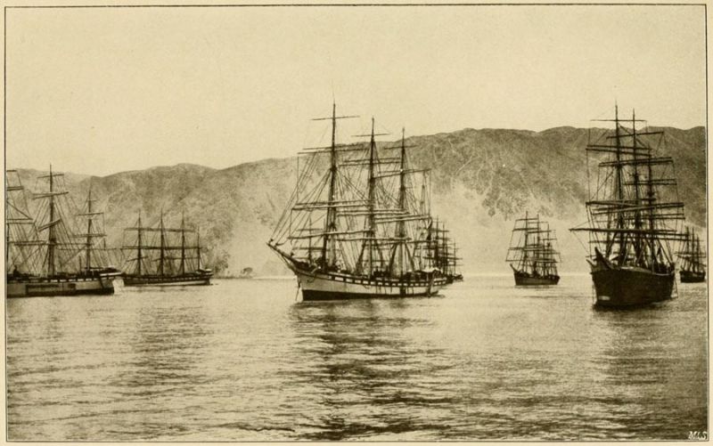 Abbildung 5. Hafen von Iquique 1904.