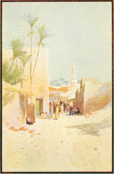 Ein grüner Flecken in der Sahara.