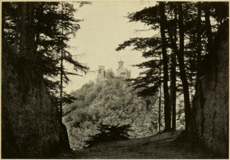 02 Blick auf die Wartburg (Auf der Wartburg)