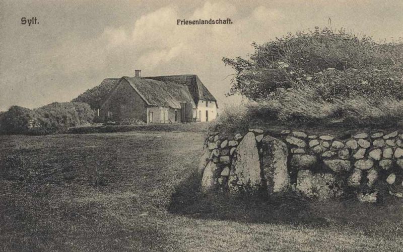 Sylt - Friesenlandschaft