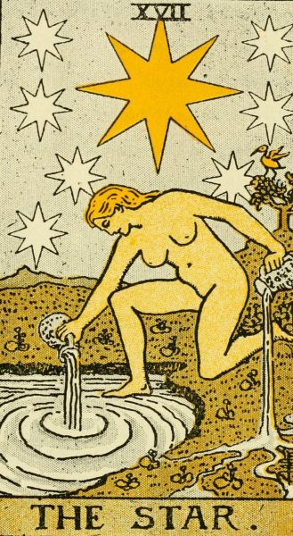 The Star