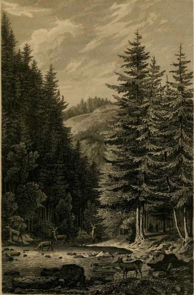 08 Schwarzatal